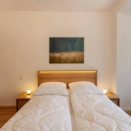 Hirschmann 4 Apartment Braunlage