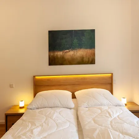 Hirschmann 4 Apartment Braunlage
